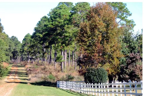 Lot 59 Magnolia Plantation, GA 31568