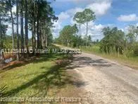 881 Papaya Street, Lake Placid FL 33852