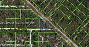 532 Nichele Boulevard, Lake Placid FL 33852