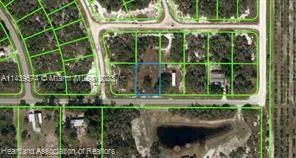 212 Impatiens Street, Lake Placid FL 33852