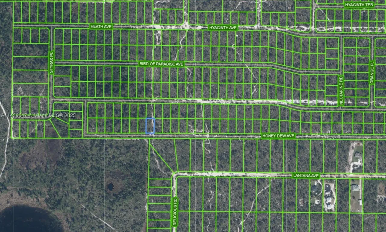 2300 Honey Dew Avenue, Sebring FL 33875