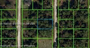 311 Wilson Lane NE, Lake Placid FL 33852