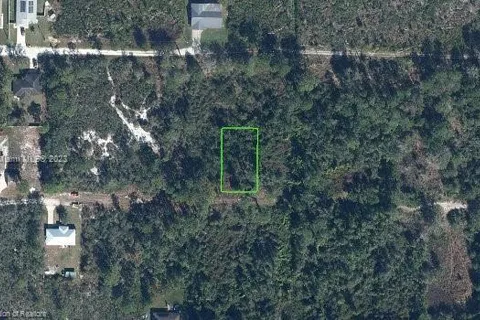 251 Dunlin Avenue, Sebring FL 33870