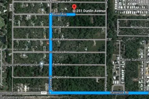 251 Dunlin Avenue, Sebring FL 33870