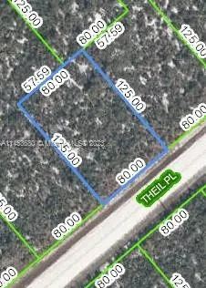 3147 Theil Place, Lake Placid FL 33852