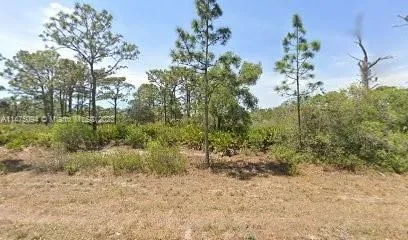 663 Hawk Avenue, Lake Placid FL 33852