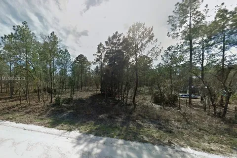 0 SE 6th, Williston FL 32696