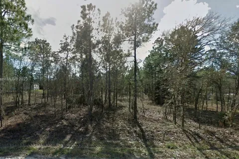 0 SE 6th, Williston FL 32696