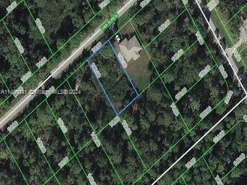 1231 VAN BUREN ST, Lake Placid FL 33852