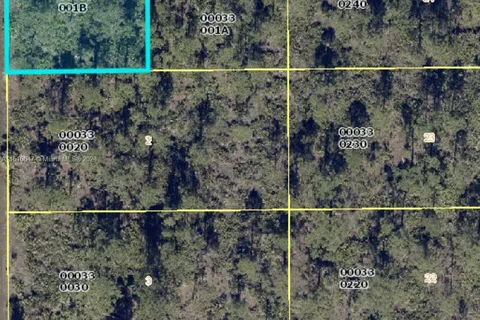 1307 W 11TH ST, Lehigh Acres FL 33972