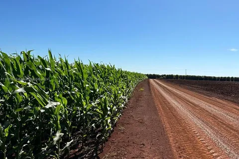 Departamente de Canindeyu, PA 0