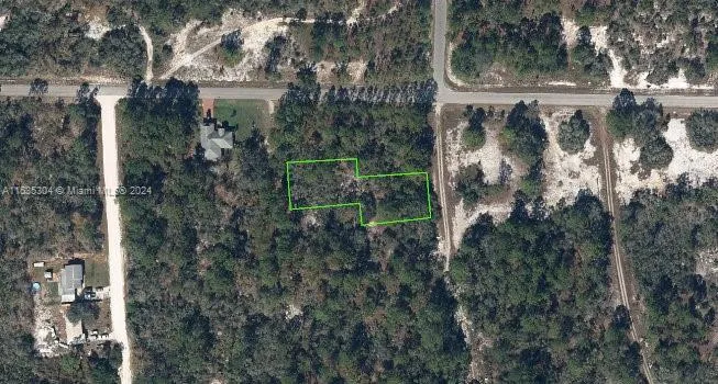 405 Blue Horizon, Lake Placid FL 33852