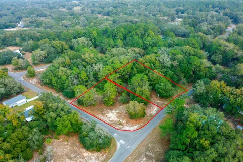 Lot 4 & 5 Guava Terrace, Ocala FL 32179