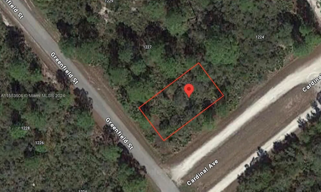 1225 Greenfield St, Lake Placid FL 33852