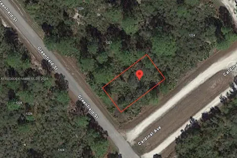 1225 Greenfield St, Lake Placid FL 33852