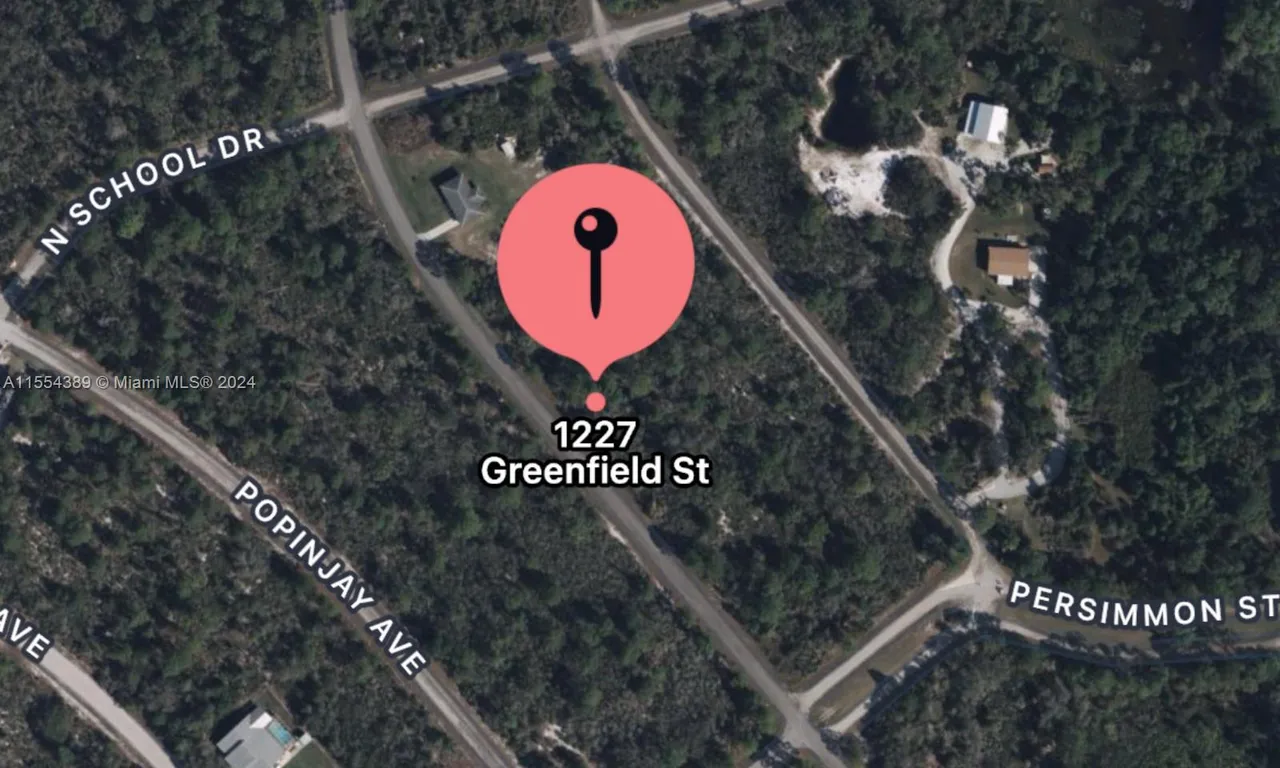 1227 Greenfield St, Lake Placid FL 33852