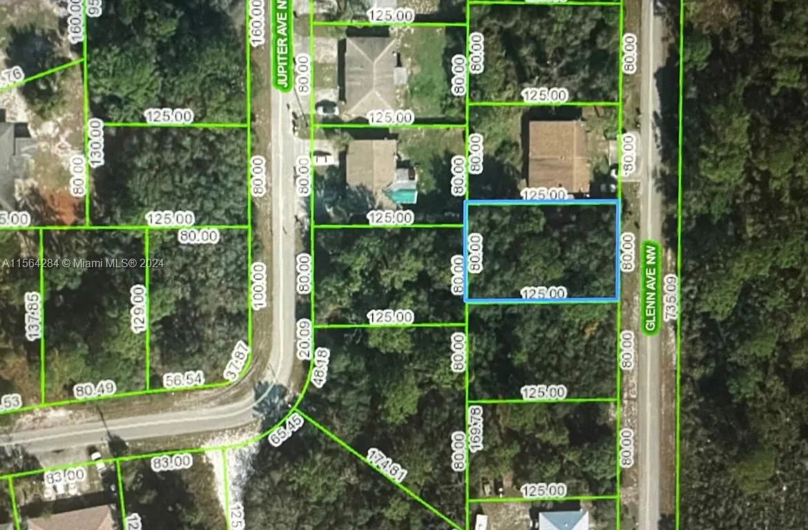 117 Glenn Ave NW, Lake Placid FL 33852