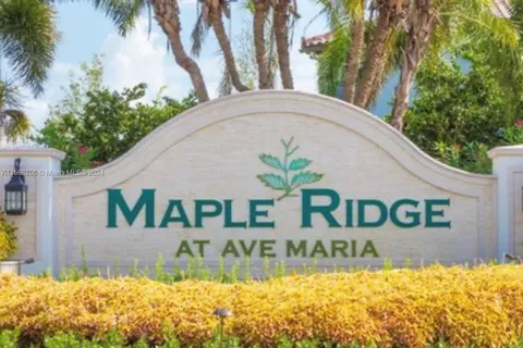 5506 Useppa Dr, Ave Maria FL 34142