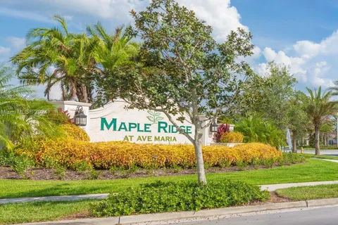 5506 Useppa Dr, Ave Maria FL 34142