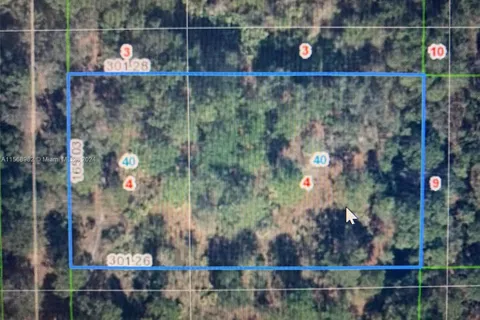 1939 S Griese Road, Avon Park FL 33825