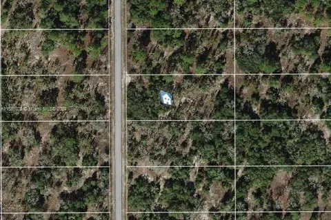 Lot 37 SW Winding Hills Rd, Other City - In The State Of Florida FL 34431