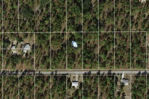 Lot 24 SW Columbine Ave, Other City - In The State Of Florida FL 34431