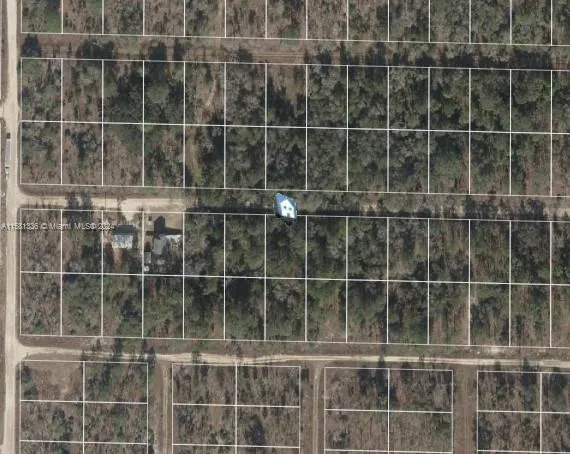 Lot 22 NE 15th Ln, Williston FL 32696