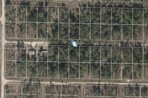 Lot 22 NE 15th Ln, Williston FL 32696