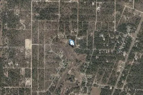 Lot 22 NE 15th Ln, Williston FL 32696