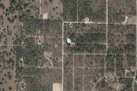 Lot 22 NE 15th Ln, Williston FL 32696