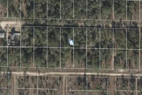 Lot 23 NE 15th Ln, Williston FL 32696