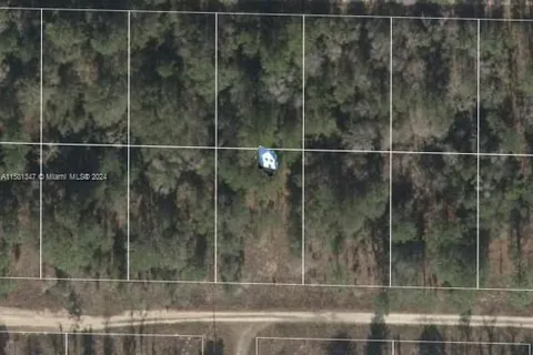 Lot 23 NE 15th Ln, Williston FL 32696