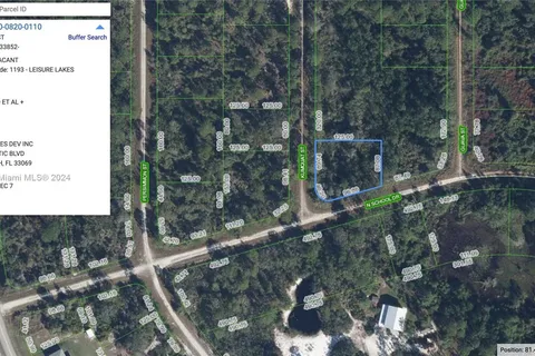 1245 KUMQUAT ST, Lake Placid FL 33852