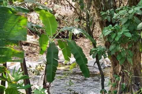 no # Puente de Piedra y Tacares Alajuela Grecia C R, CR