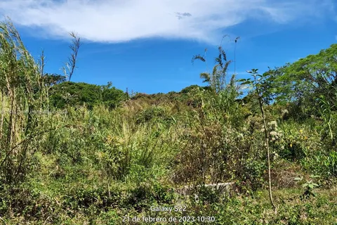 no # Puente de Piedra y Tacares Alajuela Grecia C R, CR