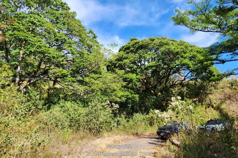 no # Puente de Piedra y Tacares Alajuela Grecia C R, CR