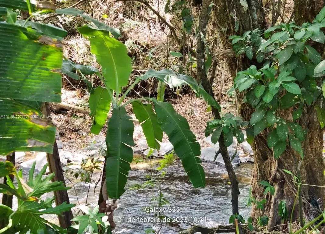 no # Puente de Piedra y Tacares Alajuela Grecia C R, CR