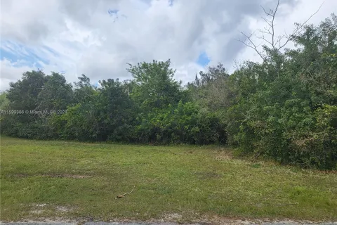 299 SW 174, Homestead FL 33030