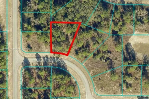 0000 SW 39 Terrace, Ocala FL 34473