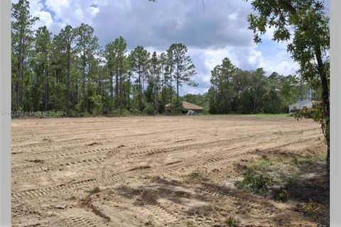 TBD SW 137th Court Road, Ocala FL 34481