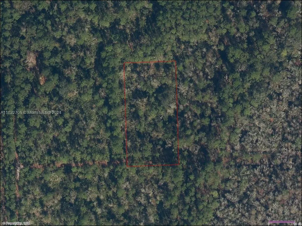 0000 000, Palatka FL 32177