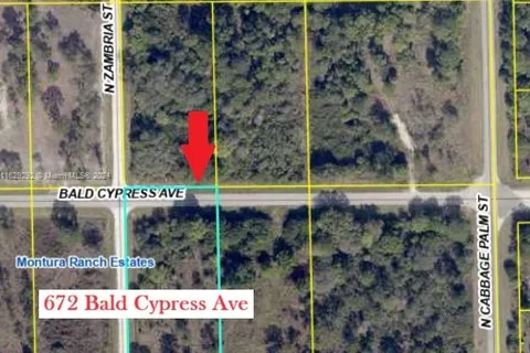 672 & 678 BALD CYPRESS AVE, Clewiston FL 33440