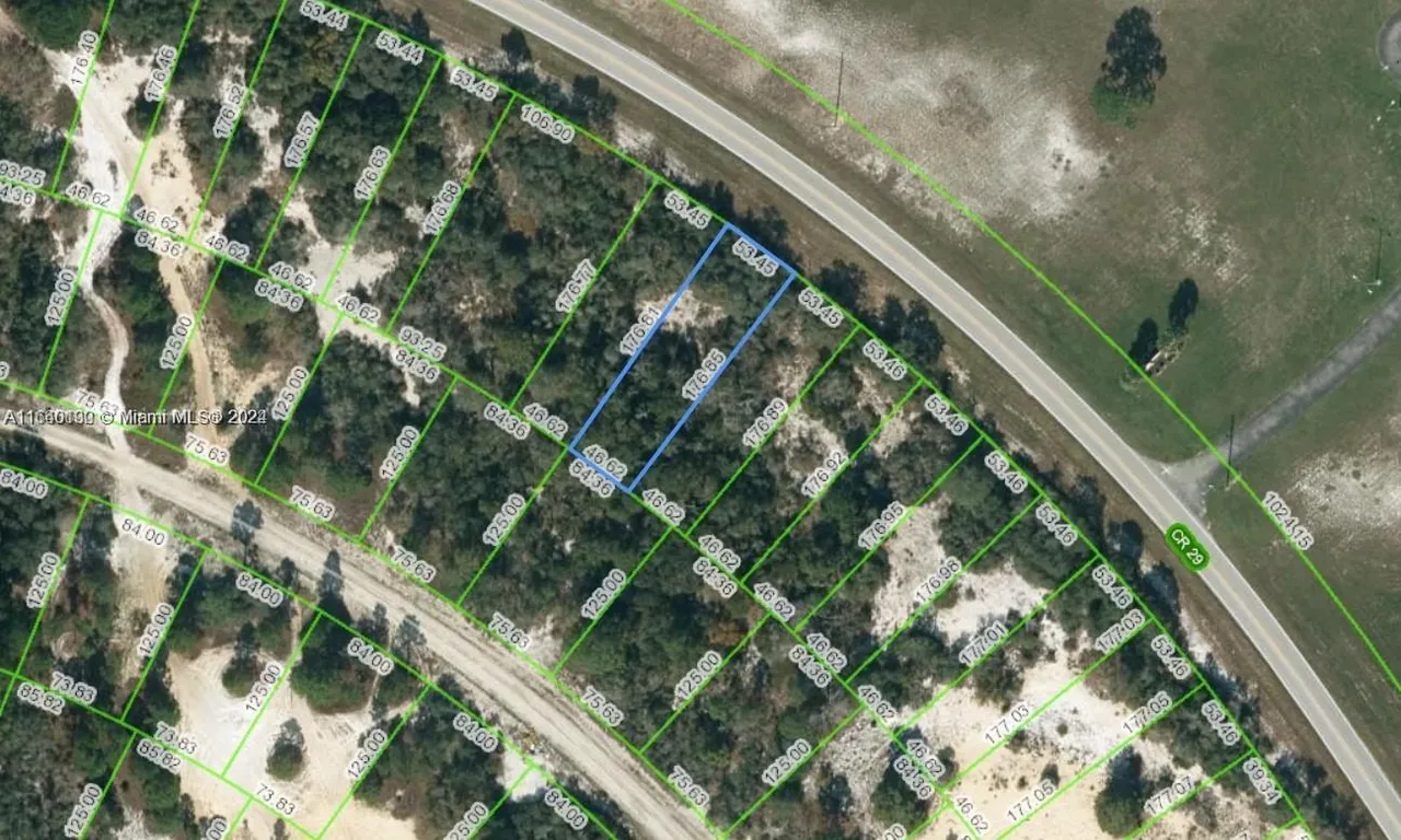 765 County Road 29, Lake Placid FL 33852