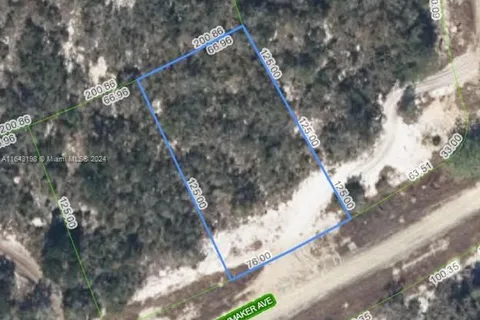 496 HAYMAKER AVE, Lake Placid FL 33852