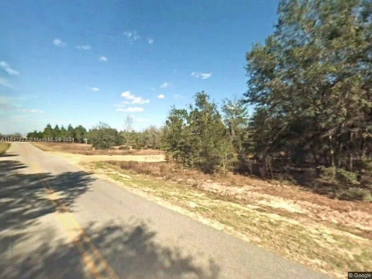 254 Chesser Monroe Rd, Palatka FL 32640