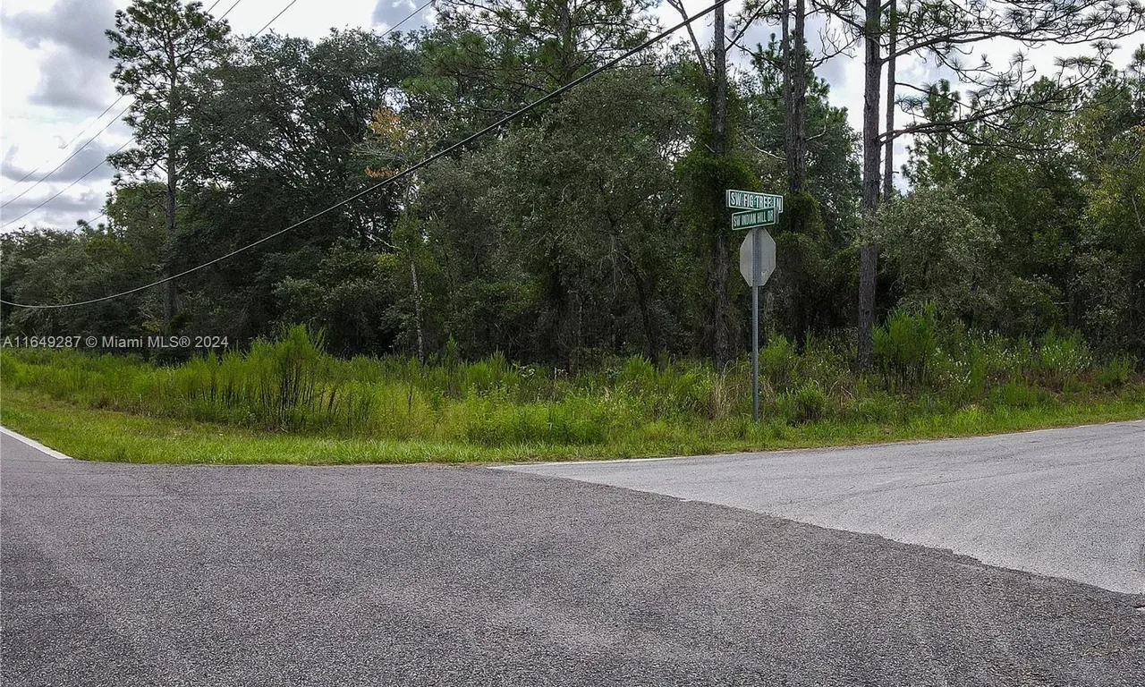 CORNER FIG TREE LANE AND INDIA HILL DRIVE, Other City - In The State Of Florida FL 34431