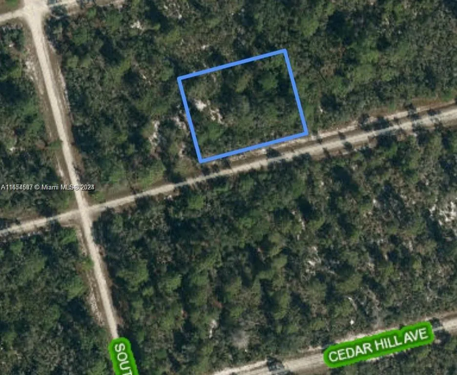 3047 Hollow Oak Ave, Lake Placid FL 33852