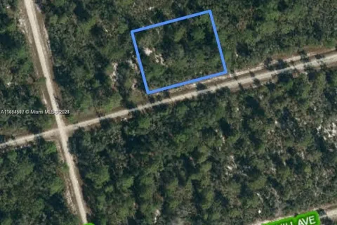 3047 Hollow Oak Ave, Lake Placid FL 33852