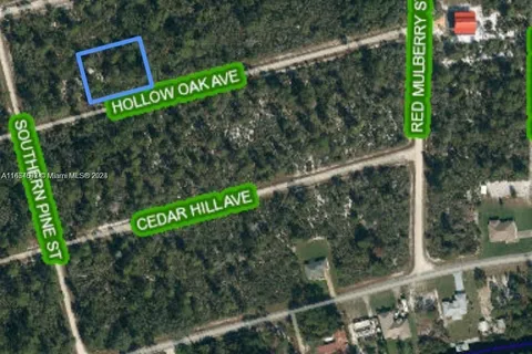 3047 Hollow Oak Ave, Lake Placid FL 33852