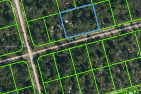 3047 Hollow Oak Ave, Lake Placid FL 33852